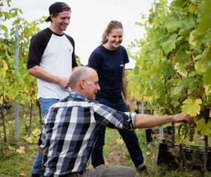 Wine students can apply for a sustainability bursary for winemaking.