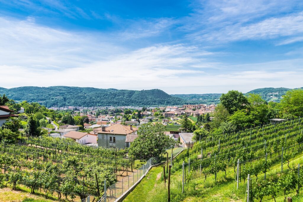 Chiasso, Ticino canton, Switzerland. In the foreground the slopes cultivated with vineyards, below, the the town of Chiasso on a beautiful sunny day