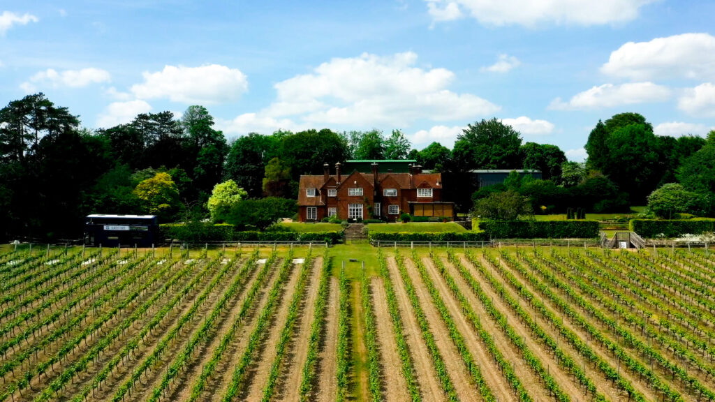 shot of country house and rows of vines Hambledon Vineyard in Hampshire