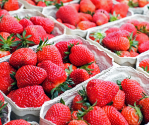 protecting strawberries against diseases