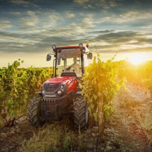 Ernest Doe & Sons for their Fruit & Viticulture Machinery Show