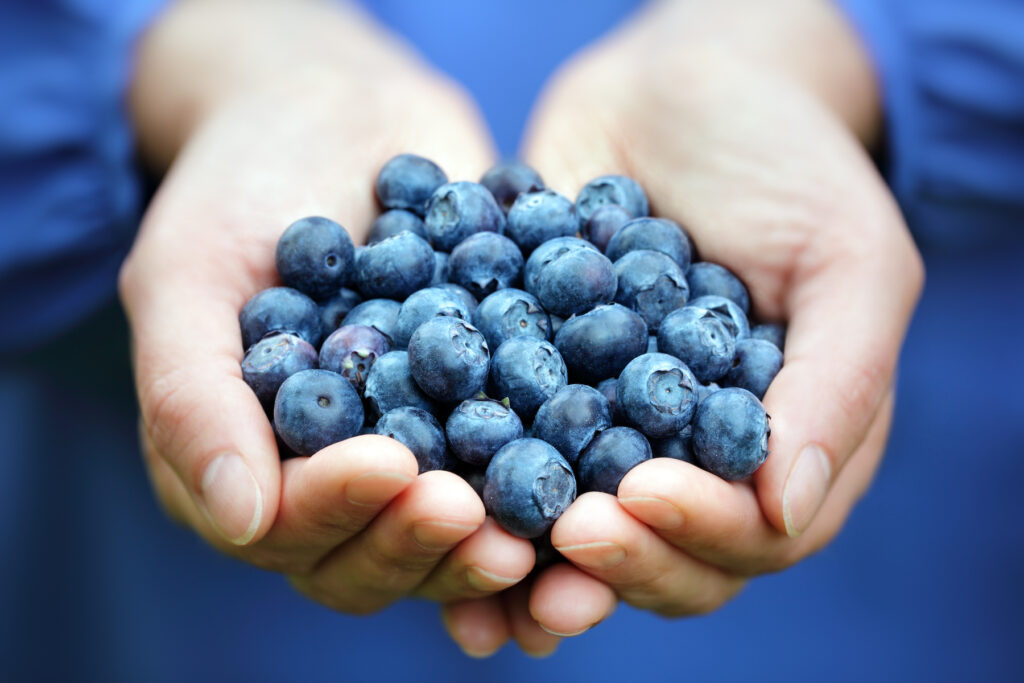 woman holding a handful of blueberries