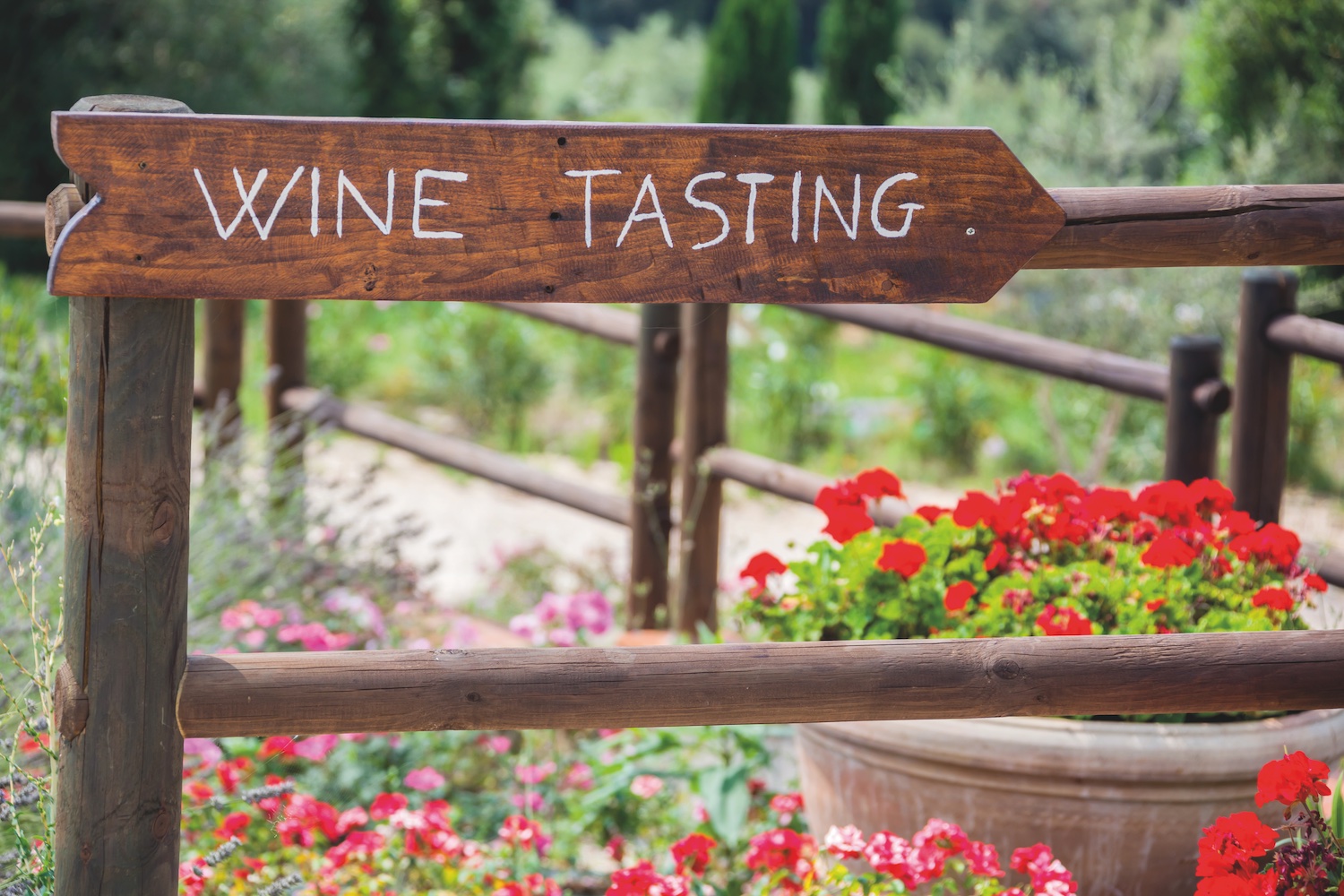 photo of a sign that says wine tasting