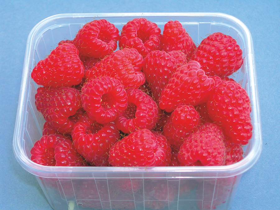 plastic container full of raspberries
