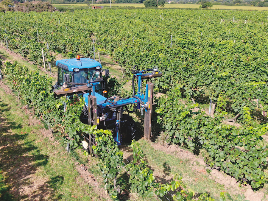 tractor trimming vines