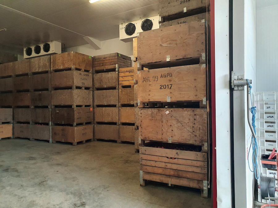 storage crates containing apples