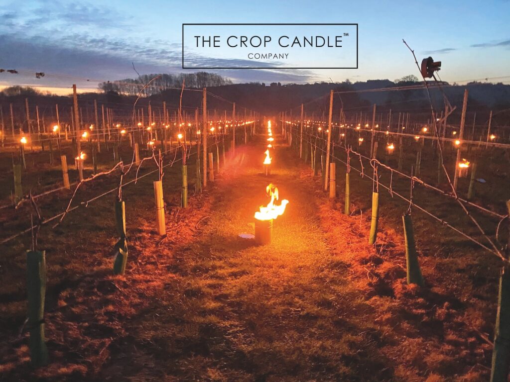 Photo of Crop Candles being used in a vineyard