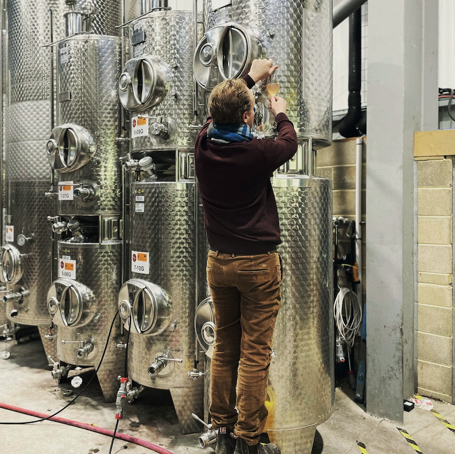 wine vats