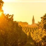 International ‘wine train’ launches to take passengers to best European vineyards.