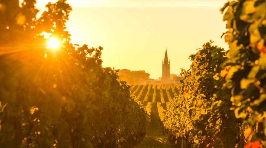 International ‘wine train’ launches to take passengers to best European vineyards.