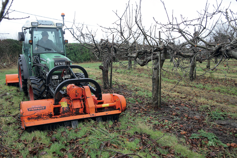 Fendt tractor on machinery article on fruit and viticulture website