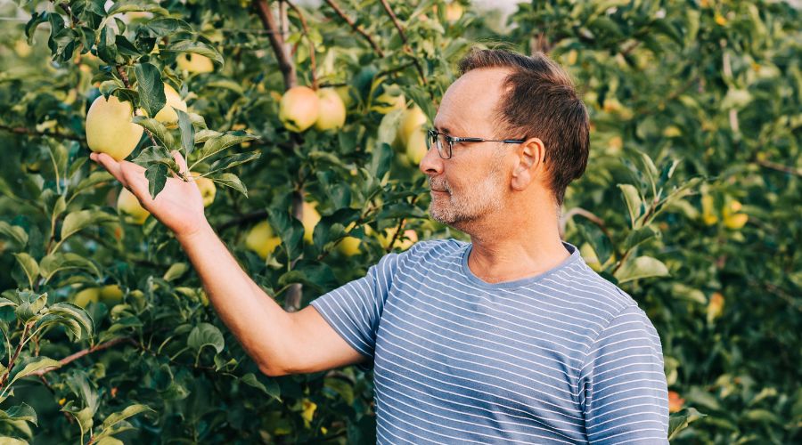Scientists at University of Warwick are helping to boost UK’s food security in wake of new government report on UK fruit and veg production.