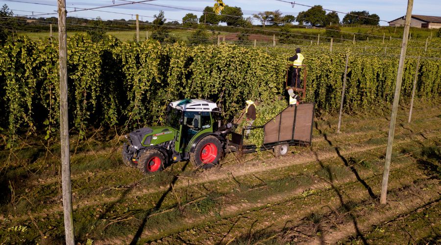 Hop farmers in the UK on tractor in sunshine