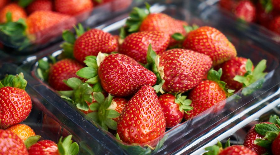 Fresh strawberries in punnets