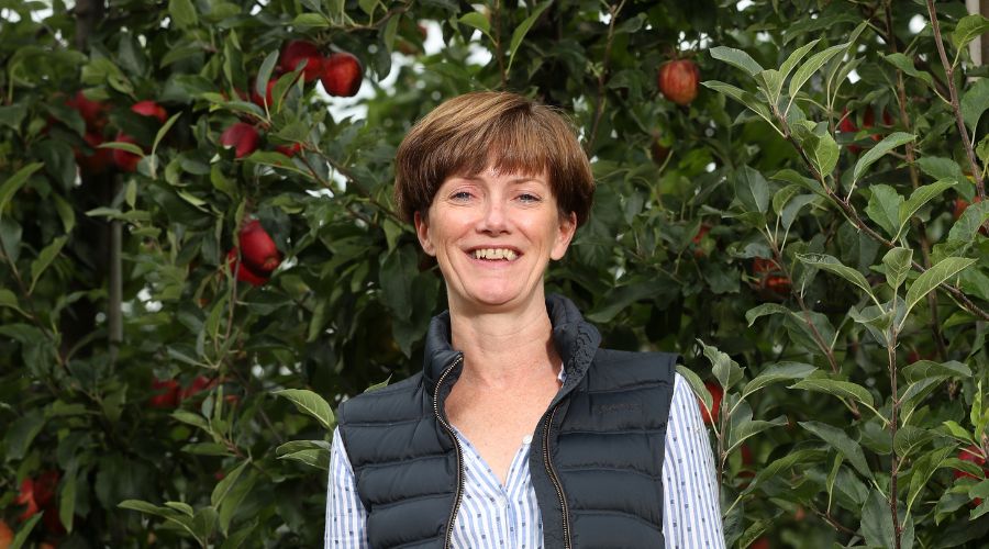 Ali Capper executive chair of British Apples & Pears Limited BAPL