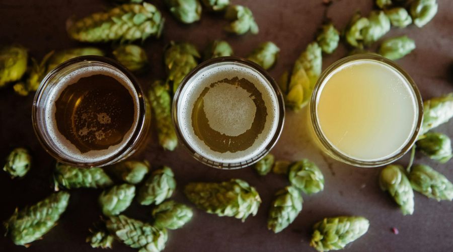 Selection of beer in glasses surrounded by hops