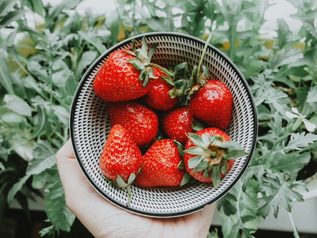 Strawberry delays will ensure bigger juicier fruit
