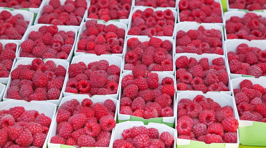 punnets of raspberries