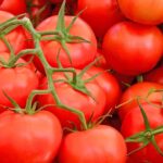 Organised by British Tomato Growers' Association, British Tomato Fortnight returns and will take place between 2nd and 15th June 2025.