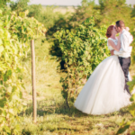 Wedding image of married couple in vineyard