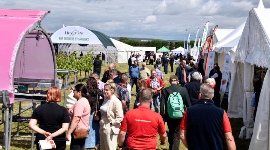 Improved efficiencies and reduced environmental impact will be discussed at Fruit Focus 2025 at Niab’s East Malling Research Station.