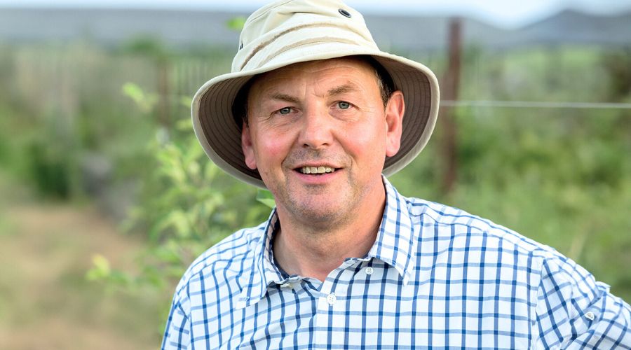 Micronutrients play a vital role in the health, productivity and quality of grapevines, Hutchinsons agronomist Rob Saunders shares advice.