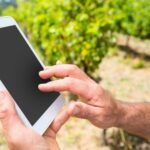 For Integrated Pest Management (IPM) to be successful, it is essential to monitor populations.