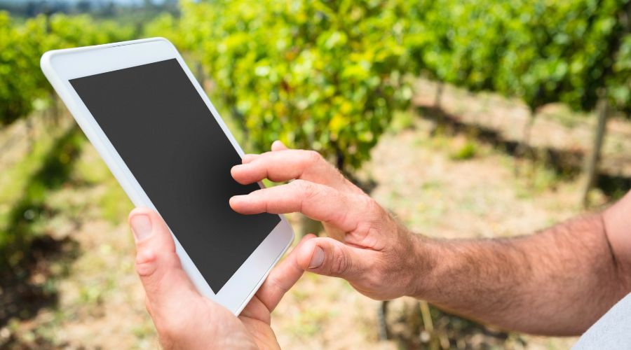 For Integrated Pest Management (IPM) to be successful, it is essential to monitor populations.