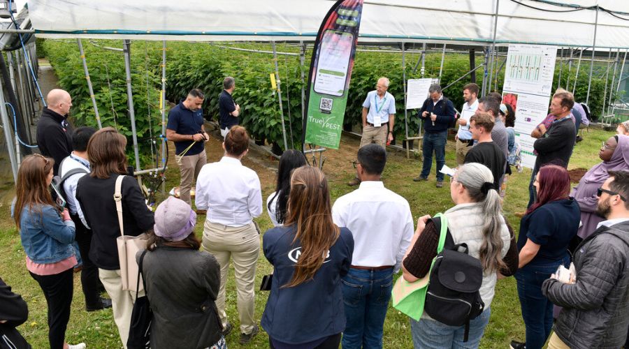 Growers and processors have been invited to learn about the latest innovations at Fruit Focus 2025, as the ticket registration is now open.