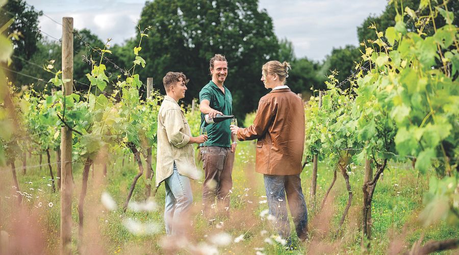 Winemaker Chris of Astley Vineyard offers expertise to vineyard