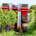 Vineyard mechanisation machinery harvest