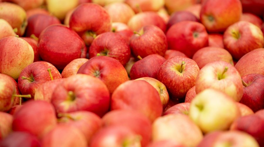 British Apples & Pears Limited (BAPL) has announced the approval of a seed funding investment for an inward trade mission from Vietnam.