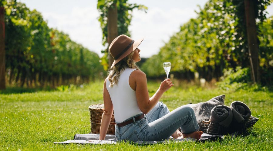 From solar panels, to energy-efficient equipment, rainwater harvesting and less fertilisers, UK’s winemakers introduce sustainability on vineyards.