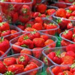 British Berry Growers voiced concerns following news that border checks on fruit imported from the European Union will be permanently removed.  