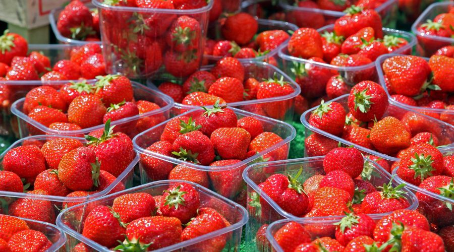 British Berry Growers voiced concerns following news that border checks on fruit imported from the European Union will be permanently removed.