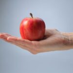 British Apples & Pears Limited (BAPL) shared results of two in-depth studies into the UK apple and pear orchard infrastructure.