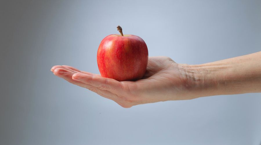 British Apples & Pears Limited (BAPL) shared results of two in-depth studies into the UK apple and pear orchard infrastructure.