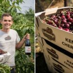 Scientists from University of Kent are transforming wasted cherries into food ingredients and use seaweed waste to boost agricultural crop health.