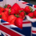 As UK government embarks on its ambitious 10-year health plan for England, nation’s fruit and vegetable growers are calling on the health secretary to back homegrown produce.