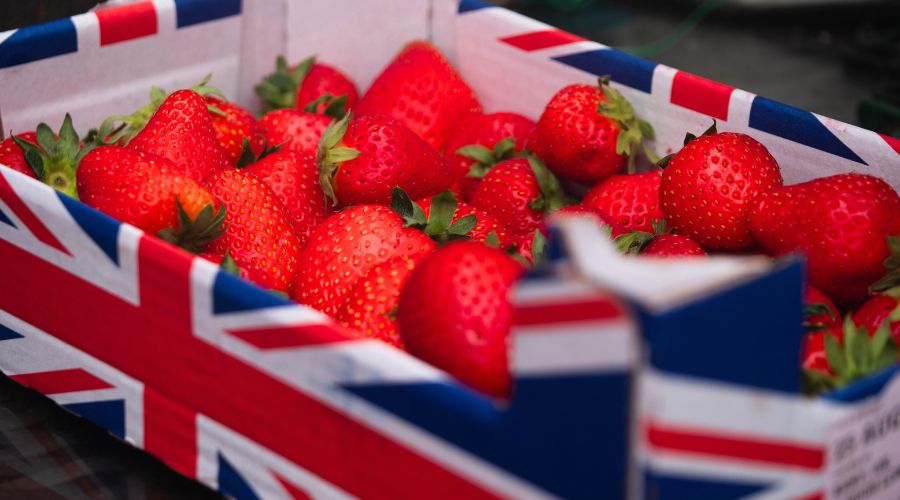 As UK government embarks on its ambitious 10-year health plan for England, nation’s fruit and vegetable growers are calling on the health secretary to back homegrown produce.