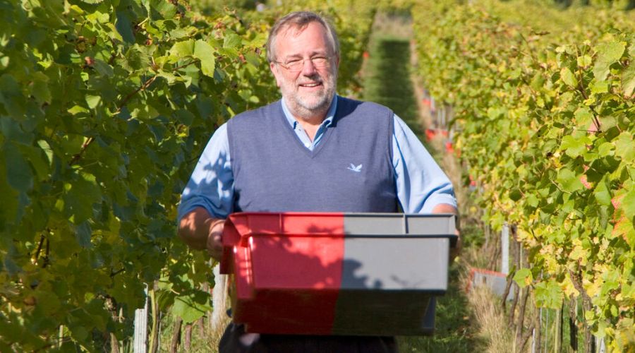 WineGB announced that Charlie Holland, Michael Kennedy and Gary Smith have joined its board, while Nick Wenman is new interim chair and Ruth Simpson is new interim deputy chair.
