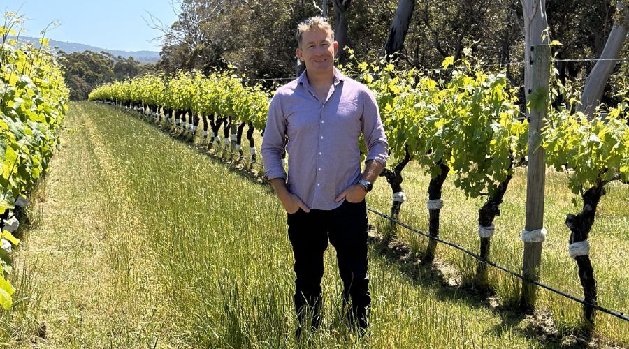 Vinescapes viticulturist Cameron Roucher outlines five key actions vineyard owners can take to begin regenerative viticulture transition.