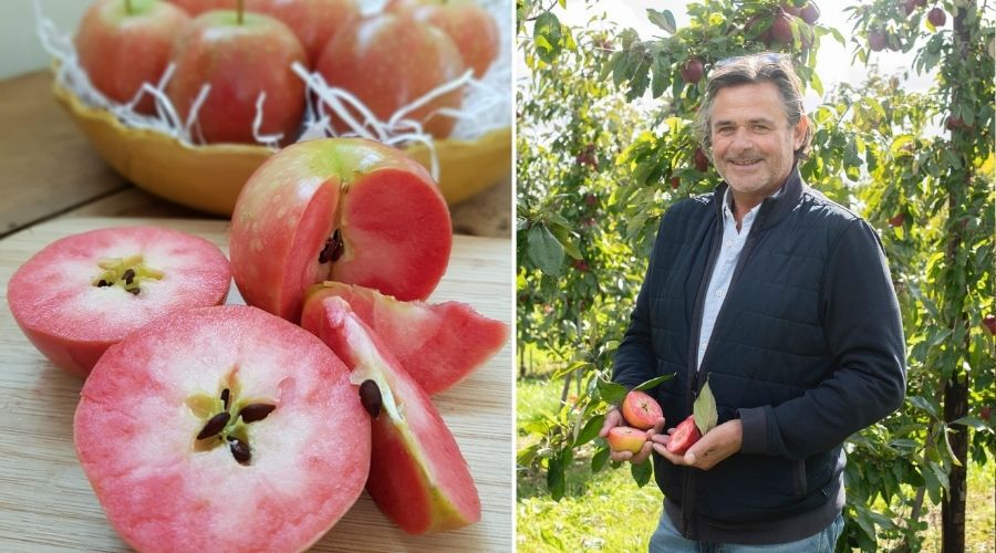 Fruit & Vine spoke to Jeremy Linsell of Worldwide Fruit Ltd, about some of the most exciting new apple varieties on the horizon.