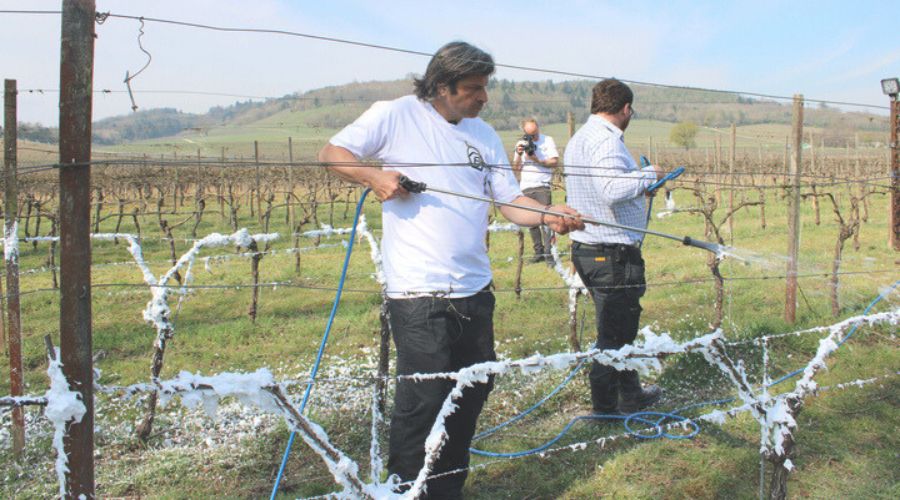 At Denbies Wine Estate, Fruit & Vine witnessed the latest innovation in the fight against frost. The unlikely weapon? Foam.