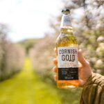 Healeys Cornish Cyder Farm is celebrating after winning three medals at 2025 International Cider Challenge, with Rattler Zero stealing the spotlight.