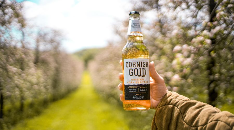 Healeys Cornish Cyder Farm is celebrating after winning three medals at 2025 International Cider Challenge, with Rattler Zero stealing the spotlight.