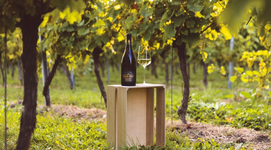 Kent-based wine producer Chapel Down has confirmed it is abandoning plans to invest in a new £32 million winery.