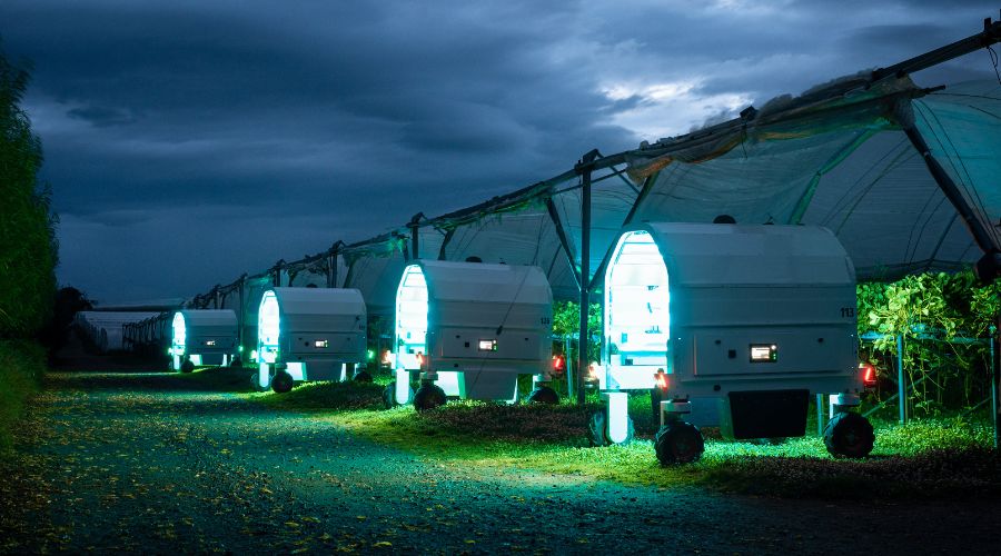 Berry producer Angus Soft Fruits has been harnessing the latest technology by Saga Robotics to protect Scotland’s beloved berry harvest.