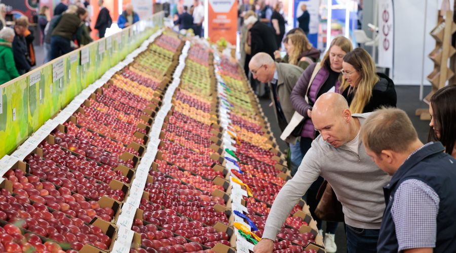 The 92nd National Fruit Show has marked a strong revival with a surge in exhibitors, competition entries and visitor numbers.