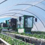 Vegcraft spraying technology for table top soft fruit growing operations